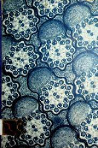 Study guide for life : cells, organisms, population